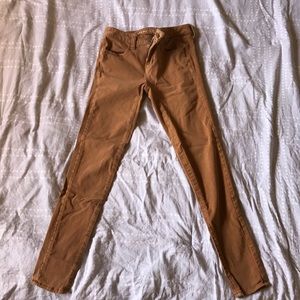 Camel Jeggings